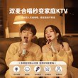 话筒音响一体麦克风k歌无线儿童家用家庭KTV蓝牙音箱显示歌词字幕
