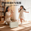 话筒音响一体麦克风电视K歌唱歌儿童家用无线蓝牙音箱家庭KTV套装
