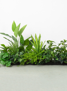 百卉仿真天堂鸟绿植造景隔断花艺