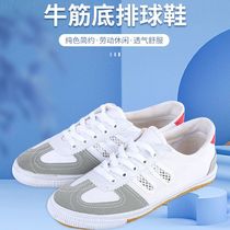 Canvas Shoes Volleyball Shoes Bull Gluten Bottom Mens Shoes Women Shoes Sneakers Training Workshoes Non-slip Breathable