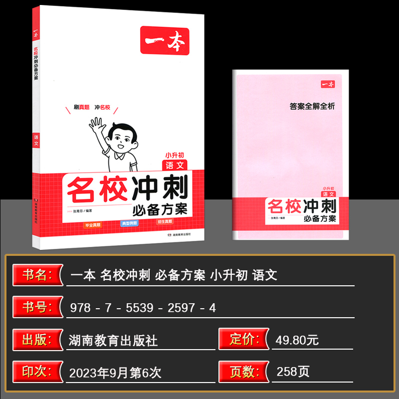 2024版 一本小升初语文名校冲刺方案 小考语文 开心考试 小升初毕业升学语文总复习小考真题 小学生典型题