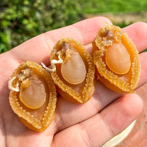 100 Head 1 Jin Dalian Qianbao Fish Commercial Bofish Dry stock Soup Buddha Jumping Wall Ingredients Mid-Autumn Festival Gift Batch