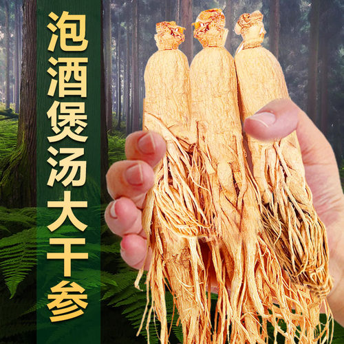 正宗长白山人参足龄老干参生晒参煲汤泡酒药材高品质东北特产干参 - 图3