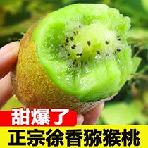 Shaanxi Green Heart Xu Xiangkiwi Peach Chic Exotic Fruits Fresh When Season Fruit Green Heart Macaque Peach Non-Xu Fragrant Meme