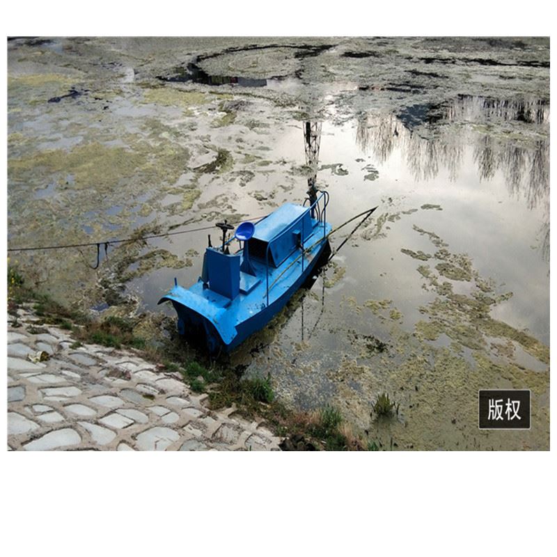 广东云浮水浮莲打捞船 河道水葫芦碎草船 水库湖面捞草机