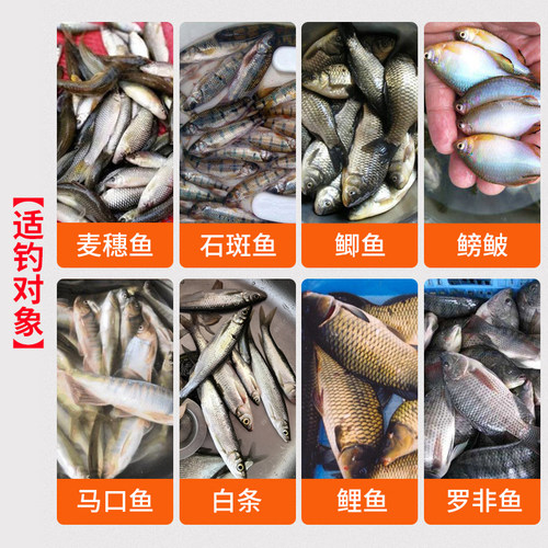 17cm短子线双钩进口台钓金袖鱼钩正品绑好成品全套野钓白条鲫鱼钩 - 图0