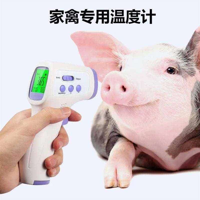 极速兽用体温f温度计养殖专用牛羊狗猫宠物体温枪猪用红外线电子,淘宝优惠券,粉丝福利购,淘宝优惠卷