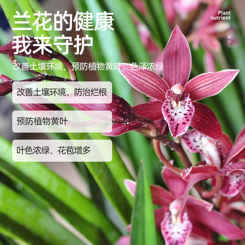 极速兰花肥料专用肥植物营u养液兰陵王兰科活化剂墨兰蝴蝶兰花肥 - 图2
