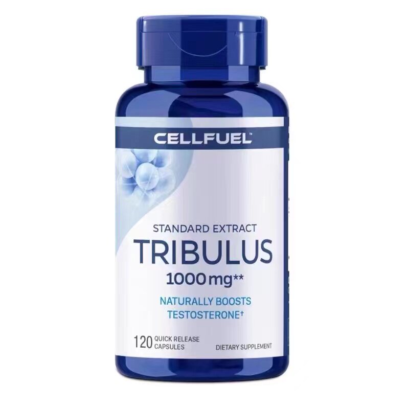  CELLFUEL海外玛咖提取物