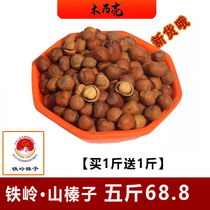 Mummy shell MNK Tieling Mountain hazelnut large pot dry fried cooked hazelnut original taste small hazelnut Northeastern