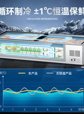 志高移动摆摊小型烧烤冰箱展示柜