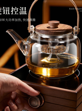 空盒子胡桃木煮茶器提梁竖条纹玻璃茶壶双过滤内胆茶炉茶水分离耐