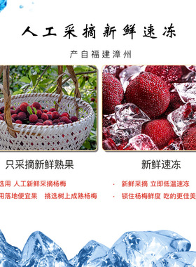 分装瓶收纳罐闽臻原味冰杨梅1斤候童年零食开袋即食包装冰冻冰镇