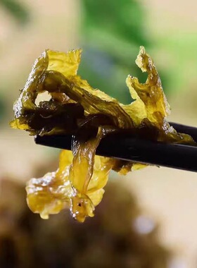 分装瓶收纳罐甘肃特产地皮菜干货地软地木耳地衣雷公菌