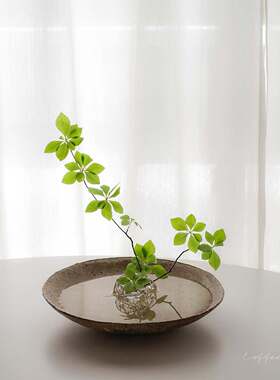 空盒子现代简约花艺绿植玻璃插花器皿客厅餐桌桌面手工玻璃花器摆