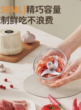 空盒子跨境电动打蒜器绞肉蒜泥家用自动料理机Food Processor Co
