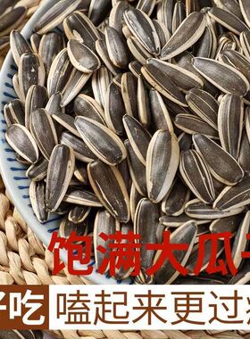 分装瓶收纳罐当季新货原味瓜子葵花炒熟干炒瓜子大颗粒追剧炒瓜子