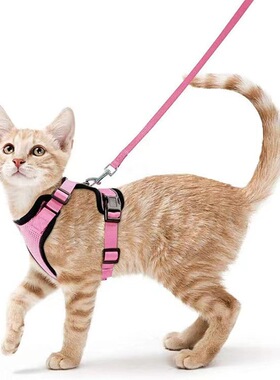 空盒子宠物用品猫猫透气胸背带反光防挣脱遛猫绳猫牵引绳小型狗狗
