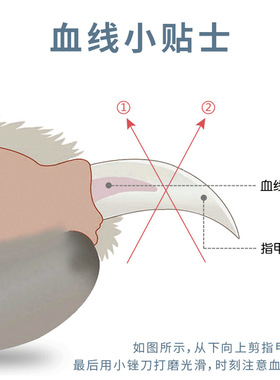 空盒子跨境宠物指剪指刀指钳猫咪照血线带灯充电剪刀新手专用