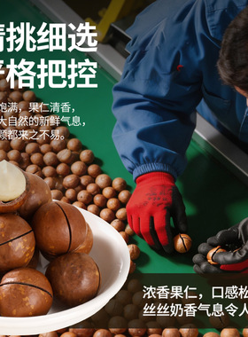 分装瓶收纳罐夏威夷果坚果零食新货大颗粒原味奶香味整箱5斤年货