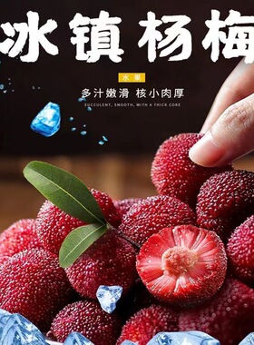 分装瓶收纳罐顺丰京德福冰杨梅 小包袋新鲜冷冻儿时酸甜零食大颗