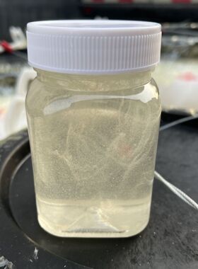 分装瓶收纳罐蜂农自产原蜜整桶洋槐蜜成熟蜂蜜槐花蜜