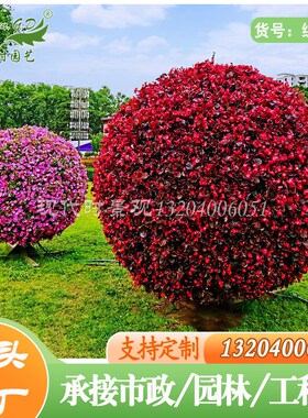道路绿化花球花柱园林景观装饰铁艺种植球市政广场组合圆球形花架