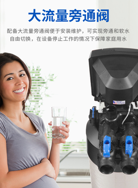 润索RAINSOFT中央软水机EC4系列