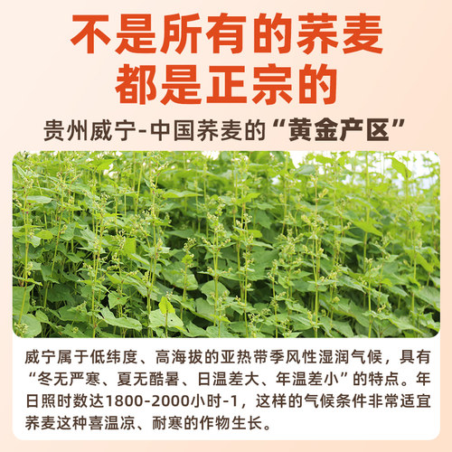 黑纯荞麦面条无糖精全麦粗粮杂粮乔面龙须面代餐主食芥麦速食挂面 - 图2
