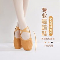 Art Autumn Ballet Special Dance Shoes Women Soft-bottom Modern Dance Dancing Shoes Practice adults Elastic Cloth Cat Paw Shoes