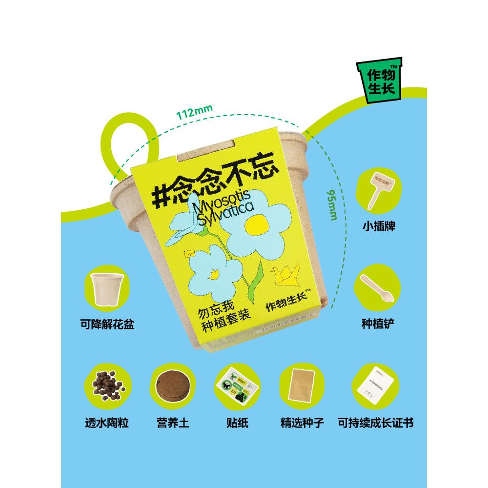 作物生长勿忘我盆栽种植套装迷你绿植花卉创意礼品懒人植物礼物 - 图1