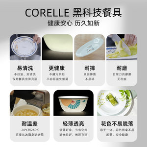 CORELLE康宁餐具美国进口耐热玻璃汤碗盘子紫色幸运草高颜值饭碗