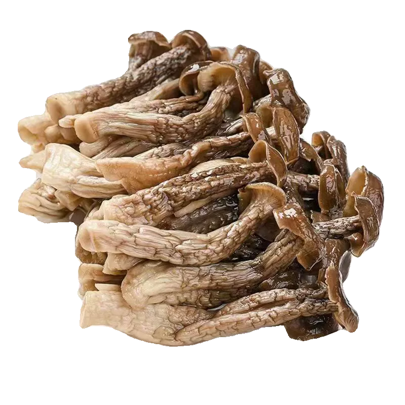 【足斤净重】新鲜农家鹿茸菇干货古田煲汤菌菇商用鹿茸菇袋装,淘宝优惠券,粉丝福利购,淘宝优惠卷