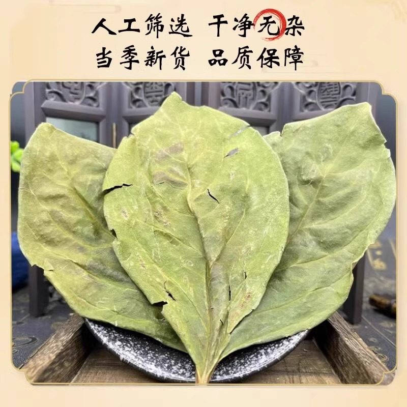 霜后柿子叶茶官方旗舰店中药材正品猪油膏原材料压降袋泡茶可磨粉,淘宝优惠券,粉丝福利购,淘宝优惠卷
