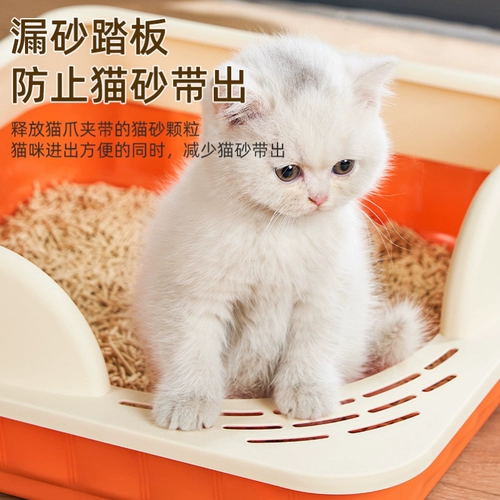 Маленький кошачий песчаный кот