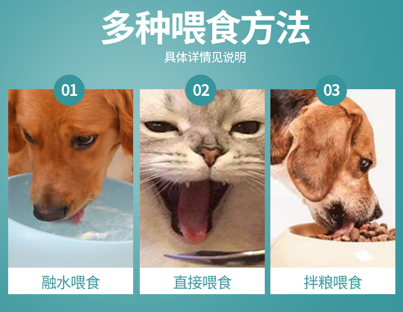 petpost惜宠宠立止安痢必克痢肽消化不良拉稀便血宠物猫咪呕吐软 - 图0