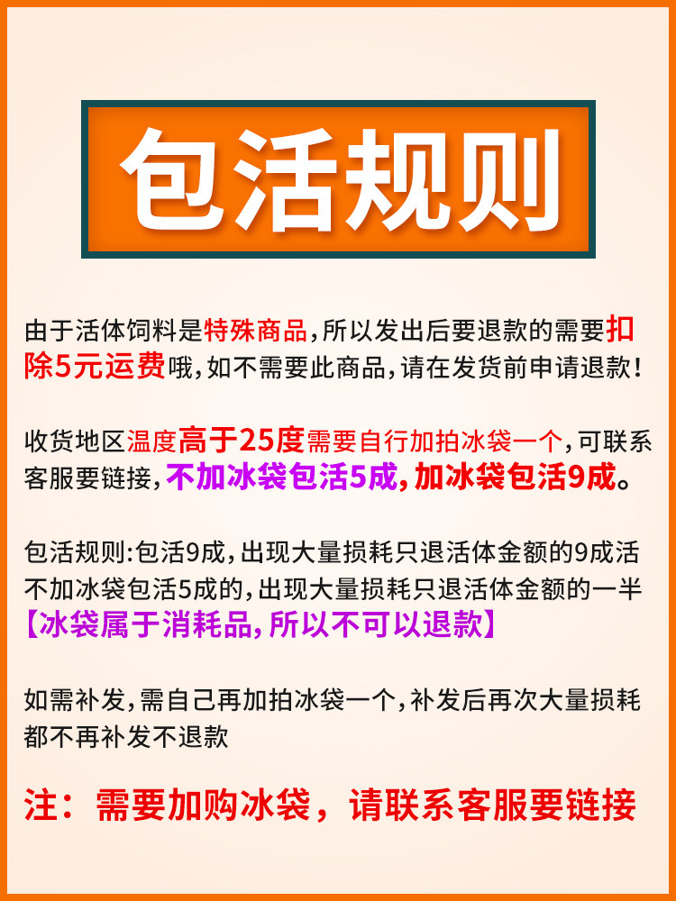 樱桃蟑螂活体饲料樱桃红蟑螂幼体活虫爬宠爬虫鸣虫食物守宫金龙鱼,淘宝优惠券,粉丝福利购,淘宝优惠卷