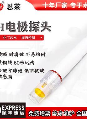 新品lP电极耐探头聚四氟乙烯工业污废检K水测强酸碱高温p计值传感