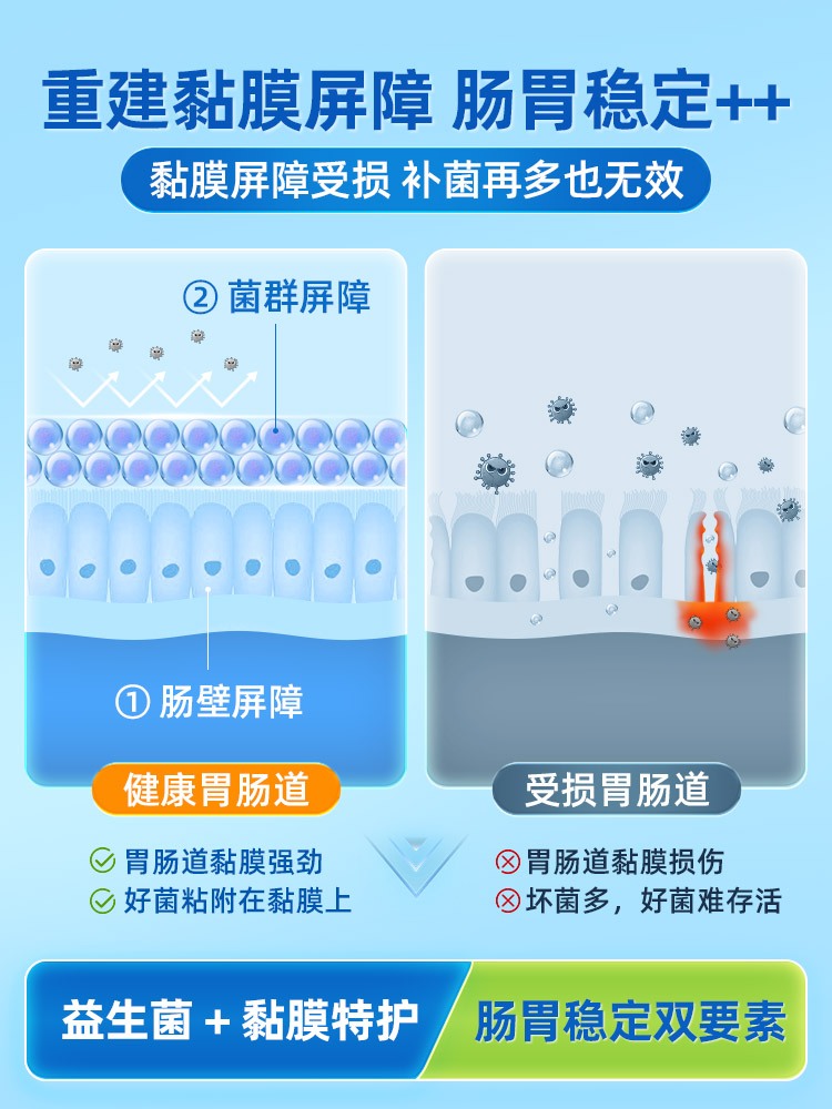 舒伯特益生菌Plus养胃粉谷氨酰胺广谱进口成年胃部呵护调理肠胃 - 图2