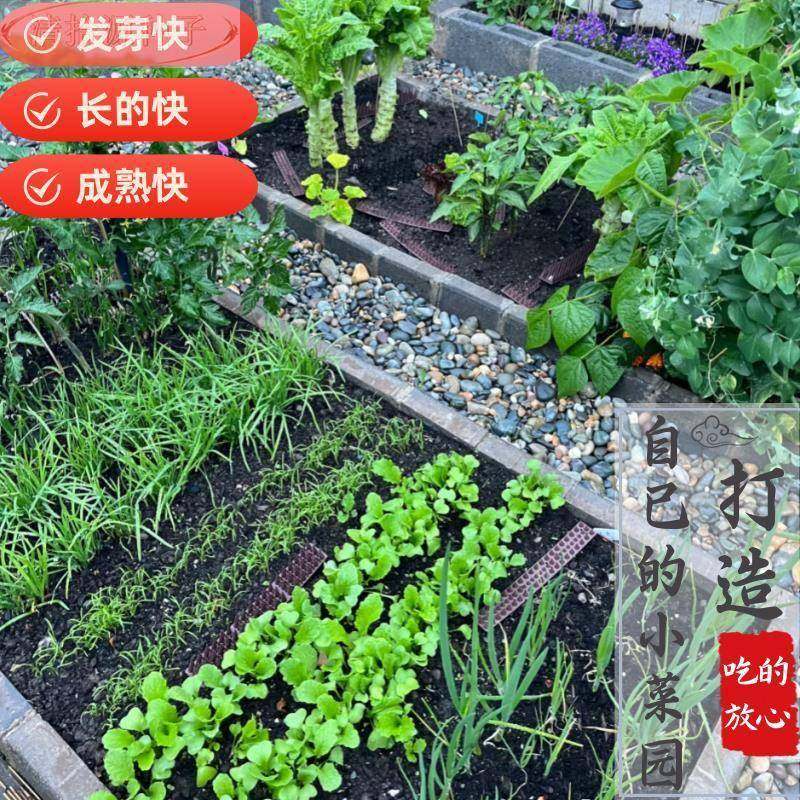 100种开春季春蔬菜子茄套餐丝瓜黄瓜辣椒HICRE豆AT角蔬玉种米子农,淘宝优惠券,粉丝福利购,淘宝优惠卷