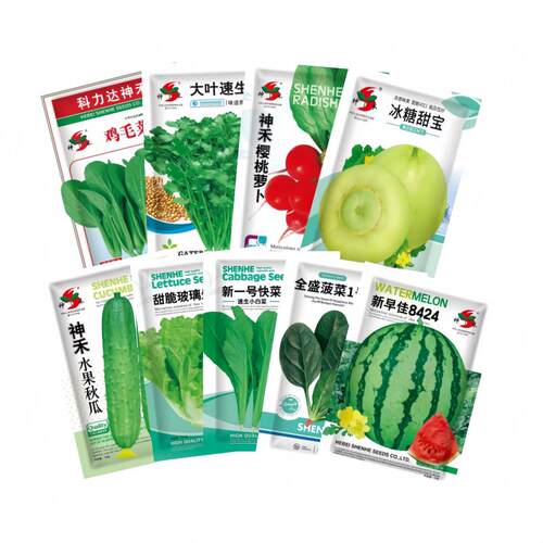 蔬菜种子四季播盆栽辣椒西孑瓜籽红苋菜香菜春季水果种植蔬菜大全 - 图3