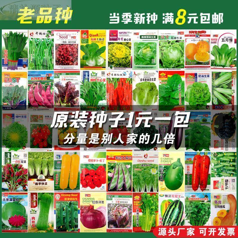 100种E开春季春蔬子茄套餐丝瓜黄瓜辣椒HICRAT豆角蔬玉种菜米子农 - 图2