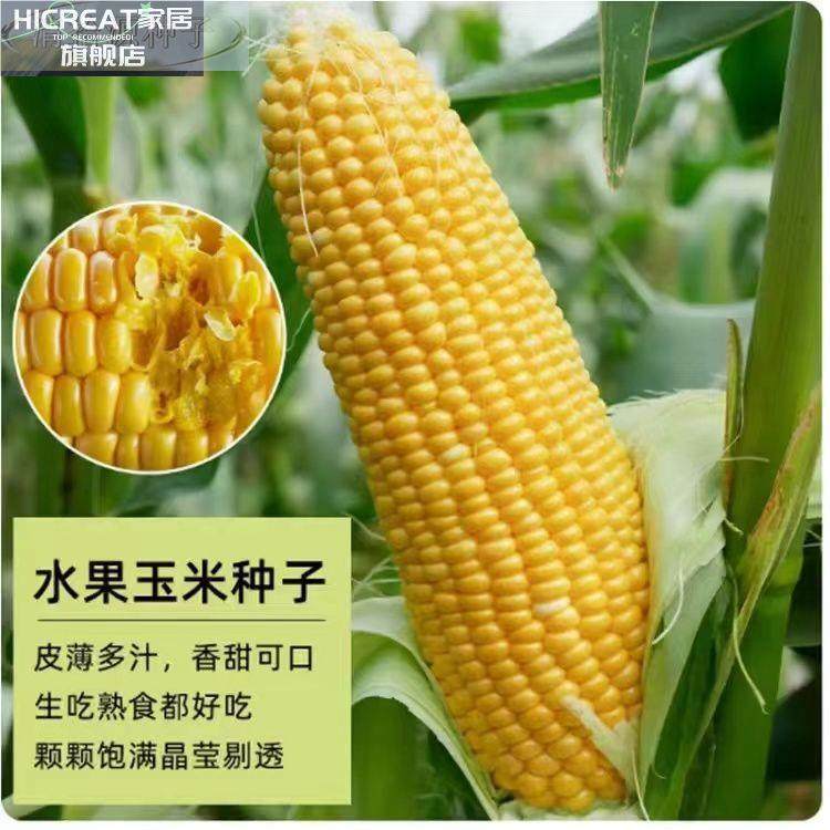 100种开春季春蔬菜子茄套餐丝瓜黄瓜辣椒HICREAT豆角蔬玉种米子农,淘宝优惠券,粉丝福利购,淘宝优惠卷