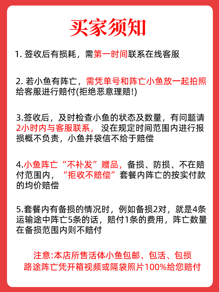 活饵料鱼苗喂鲈鱼鳜鱼乌龟食肉鱼种活体饲料小杂鱼淡水小鱼苗活食-图3