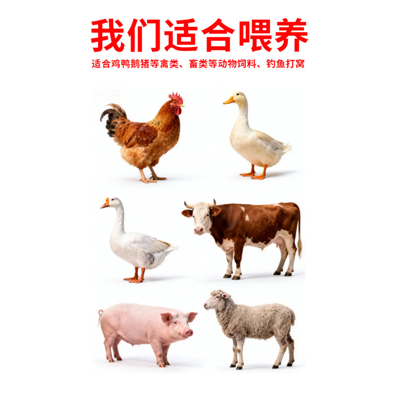 小麦麸皮喂鸡喂狗钓鱼新鲜麦麸麦夫子麦敷子皮小麦皮麸子5斤80斤,淘宝优惠券,粉丝福利购,淘宝优惠卷