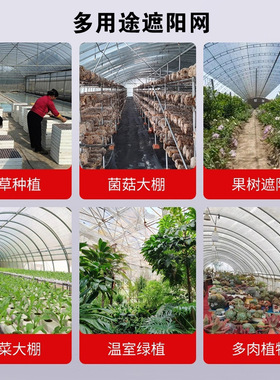 白色交织遮阳网柑橘花卉专用遮阳网加密加厚绿植遮盖降温防晒网