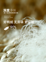 Bourgendon joint seamless fabric 2023 new mens down horse chia light slim fit down jacket with collar jacket