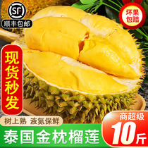 Authentic Thai gold pillow durian tree cooked liquid nitrogen lock fresh Shunfeng 10 kilos frozen one whole with shell slap