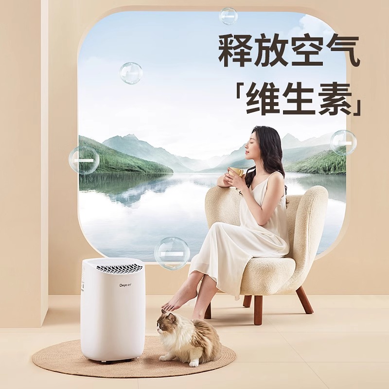 德业除湿机家用抽湿器干衣净化智能轻音干燥室内回南天吸湿B12A3