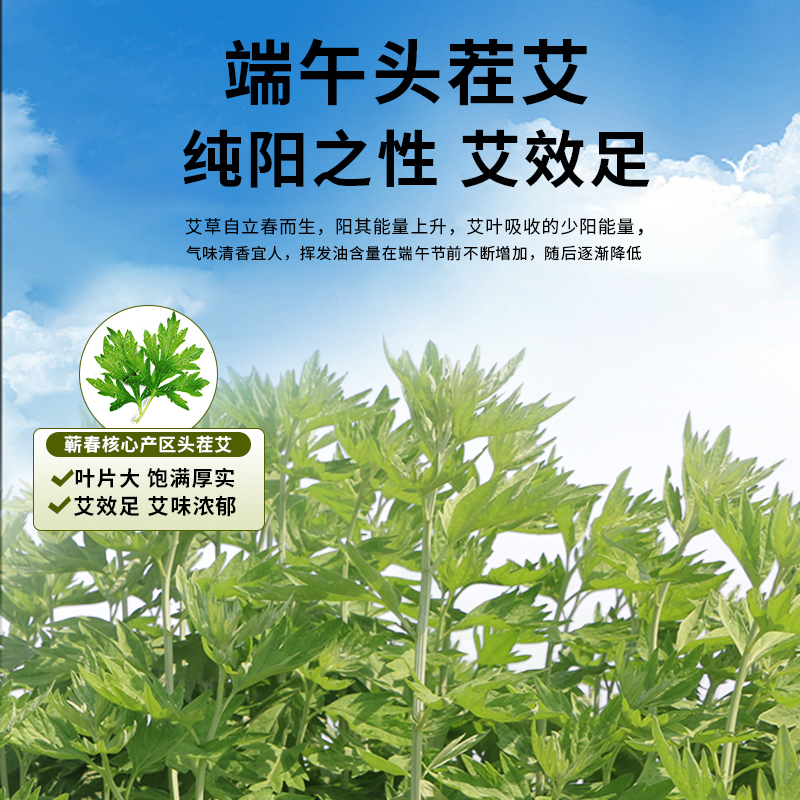 【U先试用】好艾哥泡脚药包正品艾草叶生姜足浴粉包 非祛湿助睡眠 - 图3